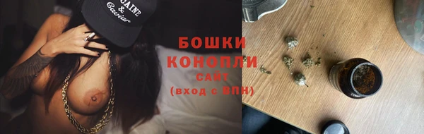 spice Касимов