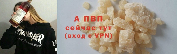 ешки Белокуриха
