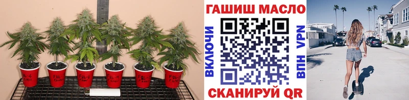 наркотики  Дигора  kraken маркетплейс  Дистиллят ТГК вейп с тгк 