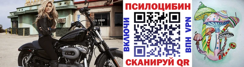 Псилоцибиновые грибы прущие грибы  Дигора 